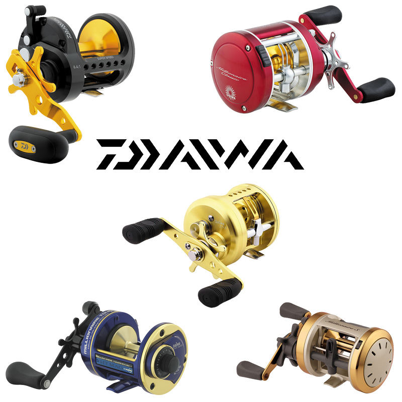 Daiwa Star Drag Reels - Roy's Bait and Tackle Outfitters